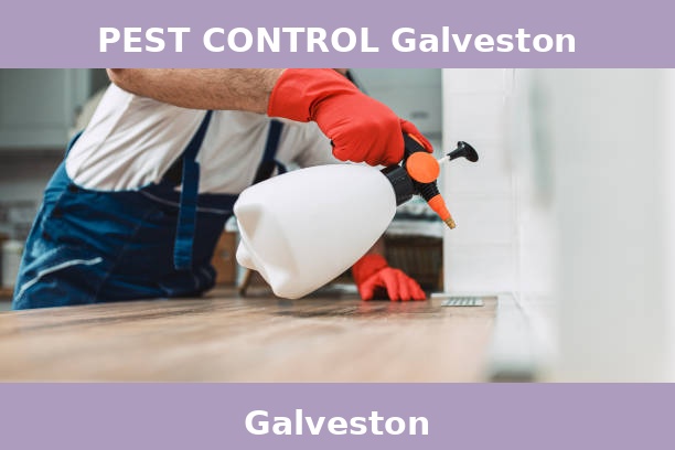 PEST CONTROL Galveston